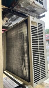 WhatsApp Image 2025-04-08 at 12.43.37_34958ece