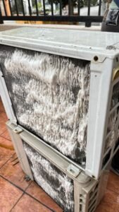 WhatsApp Image 2025-04-08 at 12.43.42_48bc4688