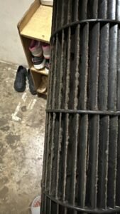 WhatsApp Image 2025-04-08 at 12.52.29_e2f9de21