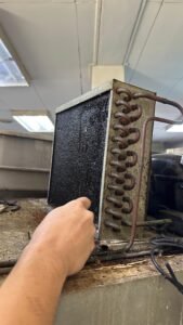 WhatsApp Image 2025-04-08 at 12.58.19_a394ec6a