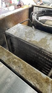 WhatsApp Image 2025-04-08 at 12.58.42_115f2993