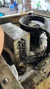 WhatsApp Image 2025-04-08 at 12.58.43_7884856b