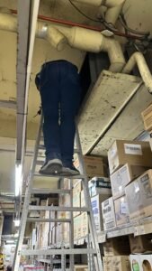 WhatsApp Image 2025-04-08 at 13.00.24_ddb60fa5